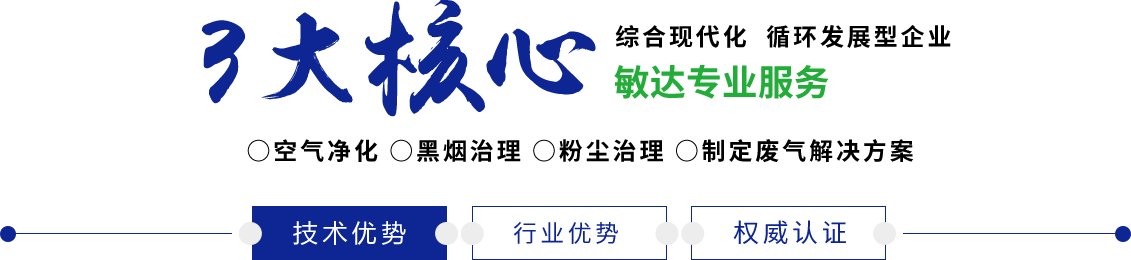 小穴快艹死了视频敏达环保科技（嘉兴）有限公司